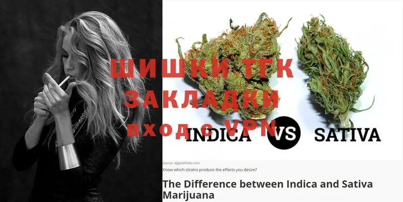 Бошки Шишки THC 21%  купить наркоту  Будённовск 